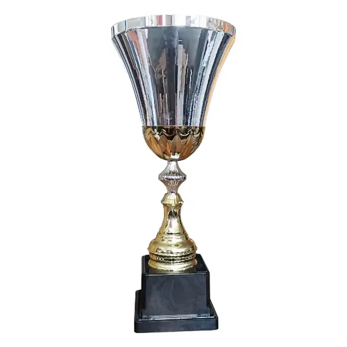 Copa CRI 10a