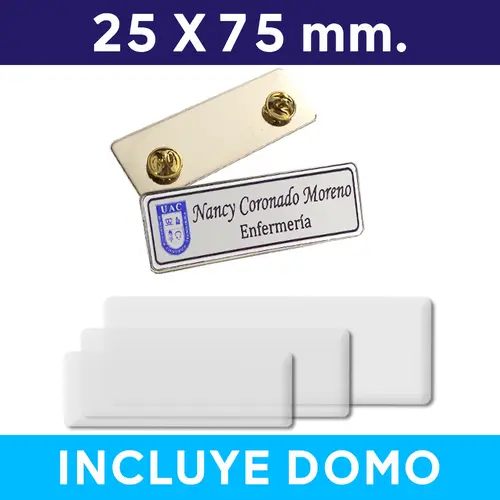 Piocha con Domo Placa con Broche (pins)