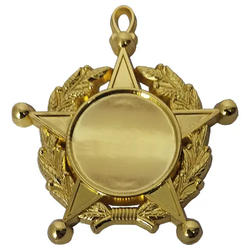 Medalla Condecoración de Fierro Estrella Laurel CON02