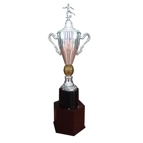 Copa España 733