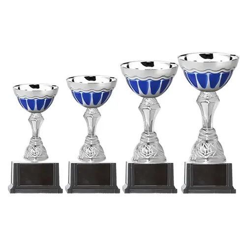 Copa BLAS 32
